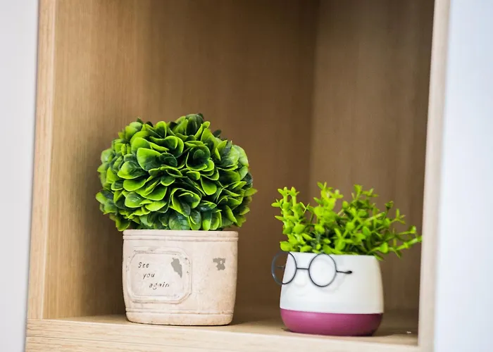 Matisse No16 - Center شقة