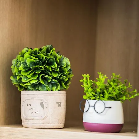 Matisse No16 - Center Apartment